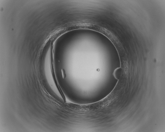 X0000081420731200701261553