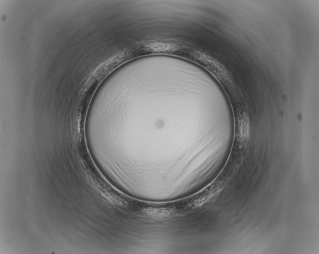 X0000081420733200701261553