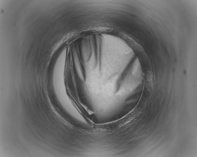 X0000081420734200701261553