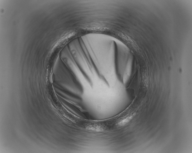 X0000081420735200701261553