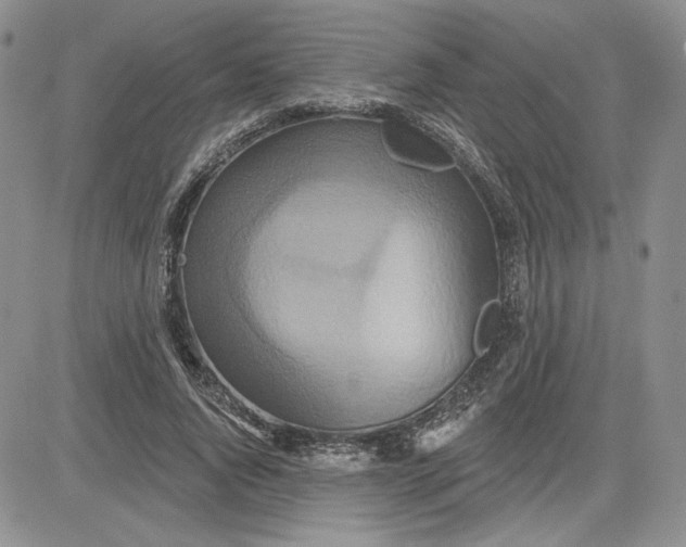 X0000081420736200701261553