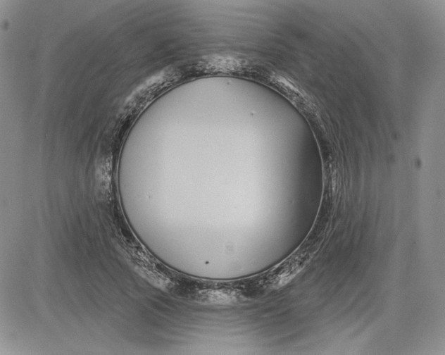 X0000081420737200701261553