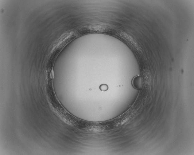 X0000081420738200701261553