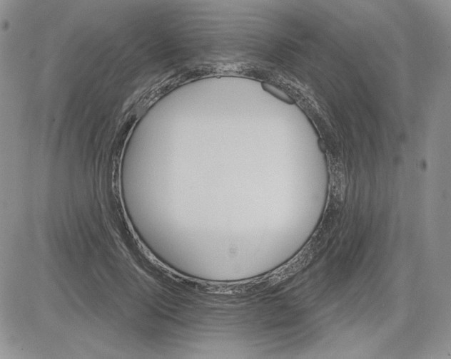 X0000081420740200701261553