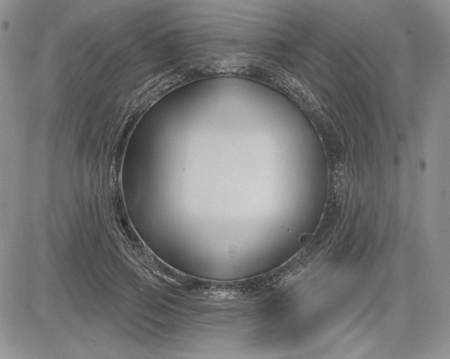 X0000081420741200701261553