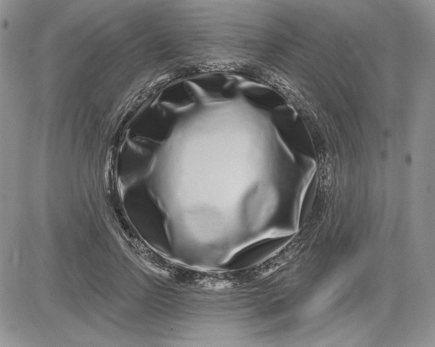 X0000081420742200701261553