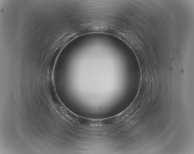 X0000081420744200701261553