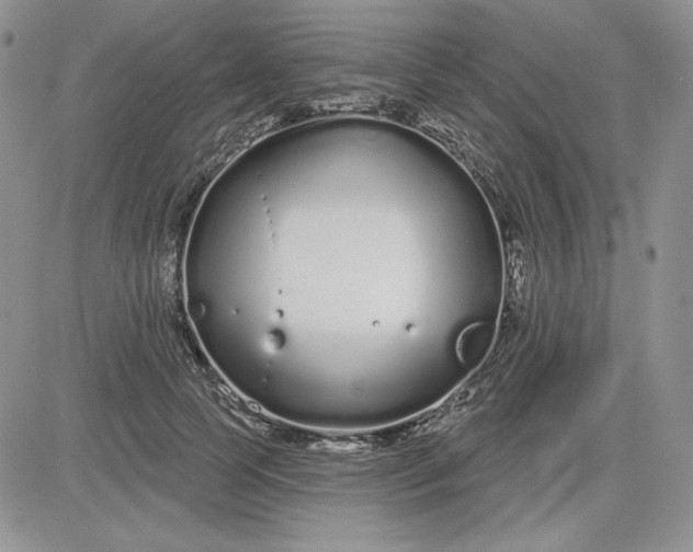 X0000081420745200701261553