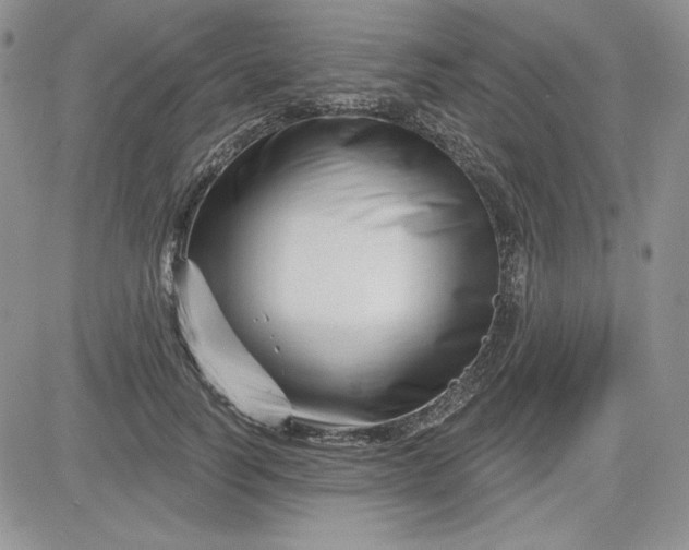 X0000081420746200701261553