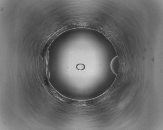 X0000081420747200701261553