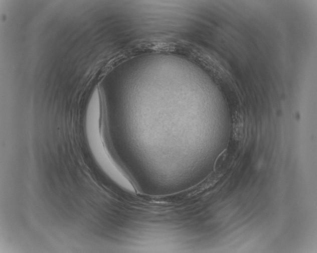 X0000081420748200701261553