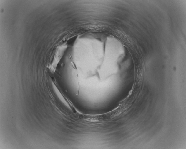 X0000081420749200701261553