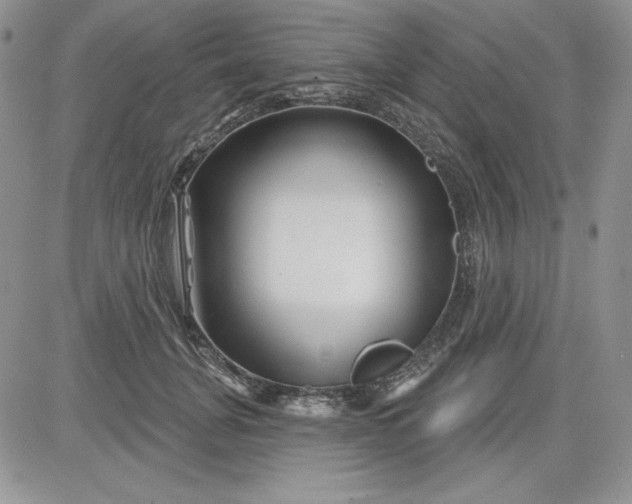 X0000081420751200701261553