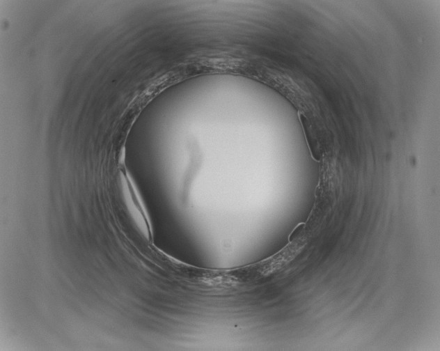 X0000081420752200701261553