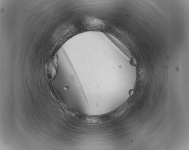 X0000081420753200701261553