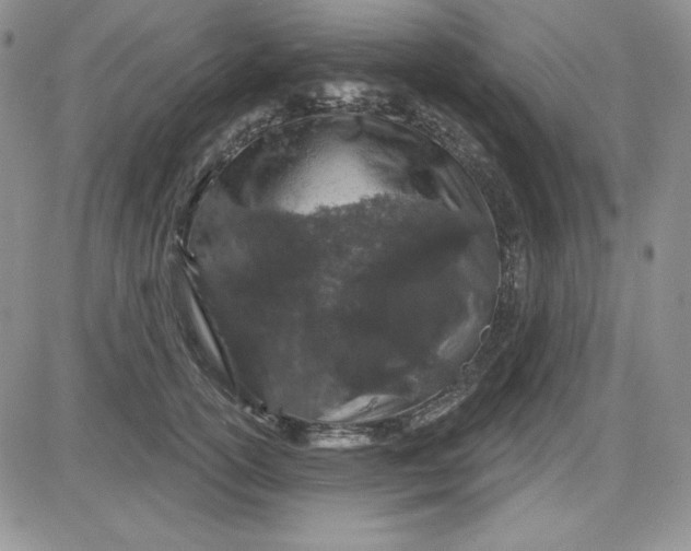 X0000081420754200701261553