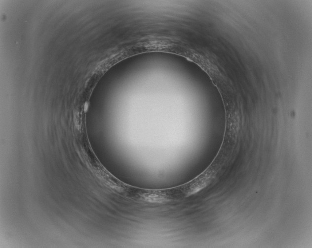 X0000081420755200701261553