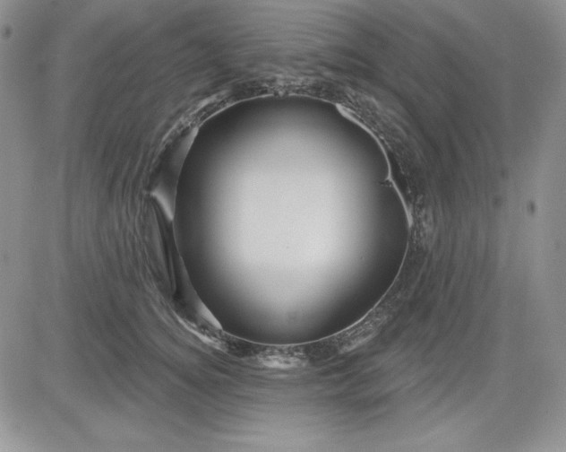 X0000081420756200701261553