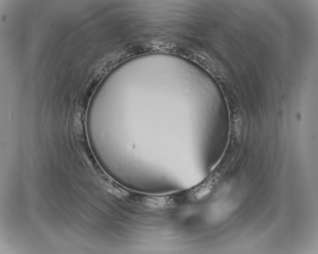 X0000081420757200701261553