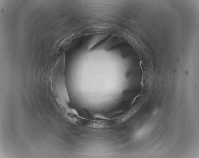 X0000081420758200701261553