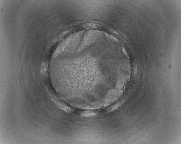 X0000081420759200701261553