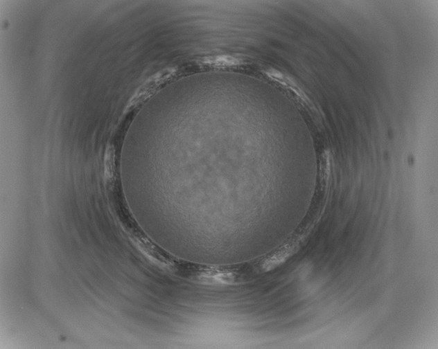 X0000081420760200701261553