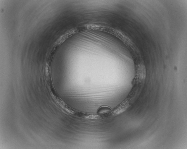 X0000081420761200701261553