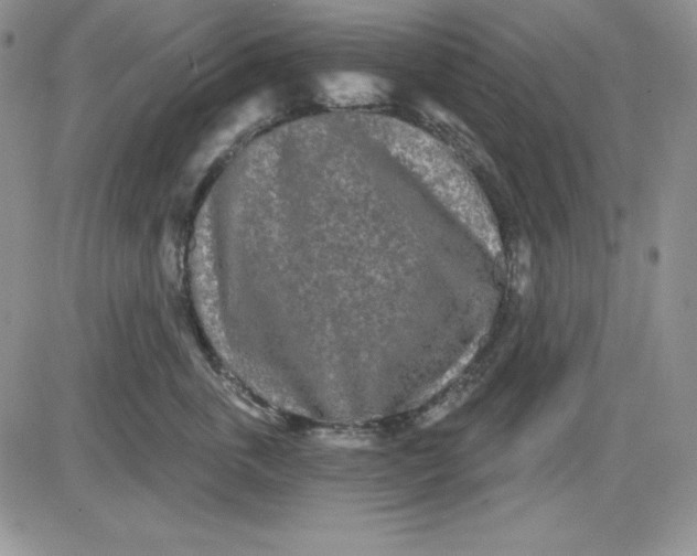 X0000081420763200701261553