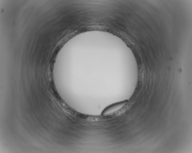 X0000081420764200701261554