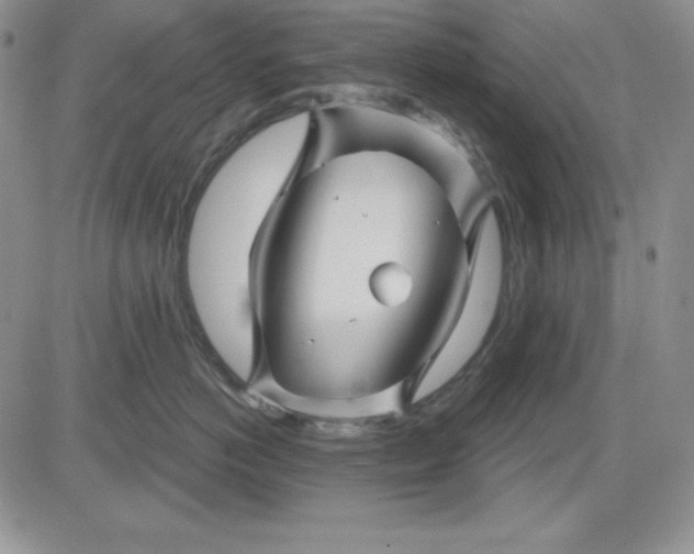 X0000081420766200701261554