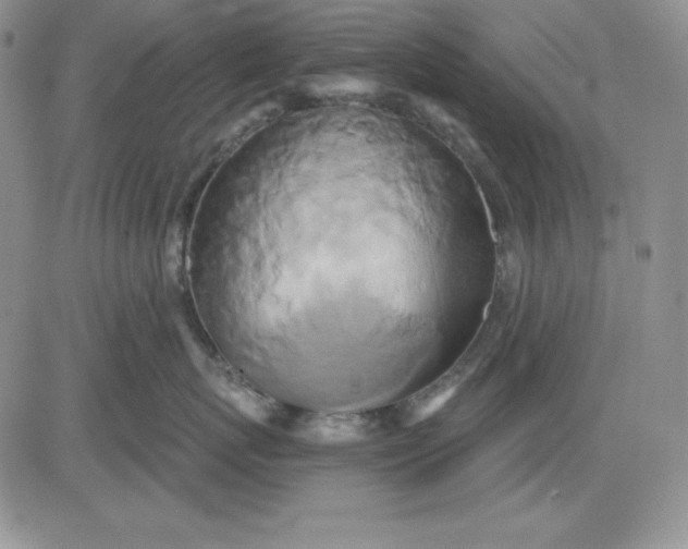 X0000081420767200701261554