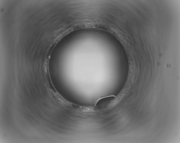 X0000081420768200701261554