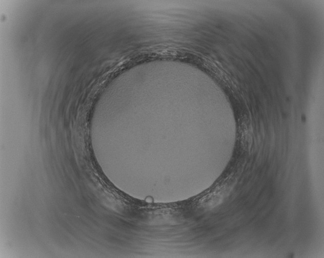 X0000081420769200701261553