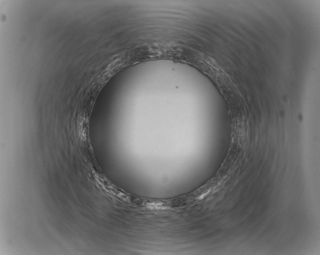 X0000081420770200701261553