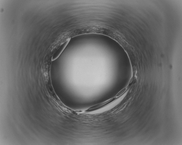 X0000081420771200701261553