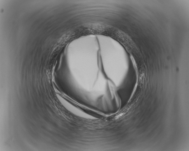 X0000081420772200701261553