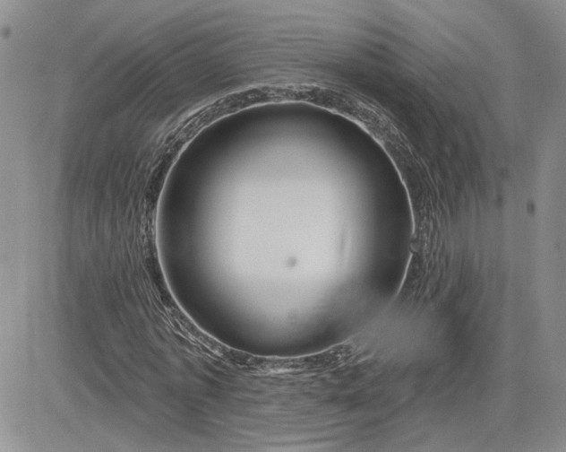 X0000081420773200701261553