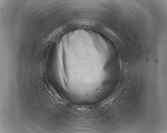 X0000081420774200701261553