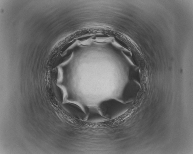 X0000081420775200701261553