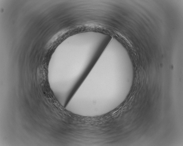 X0000081420776200701261553