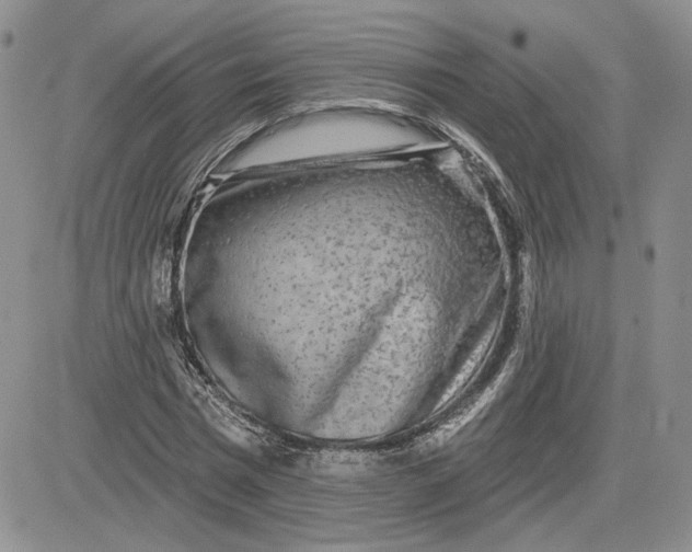 X0000081420777200701261553