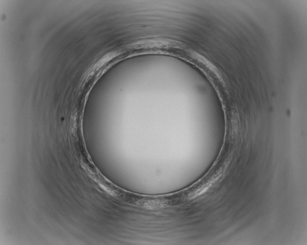 X0000081420778200701261553