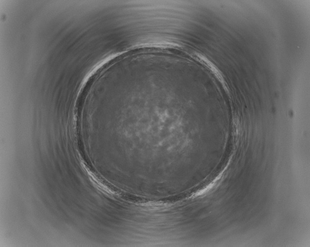 X0000081420779200701261553