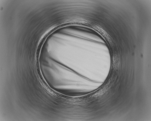 X0000081420780200701261553