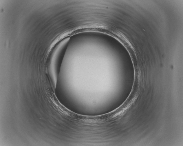 X0000081420781200701261553