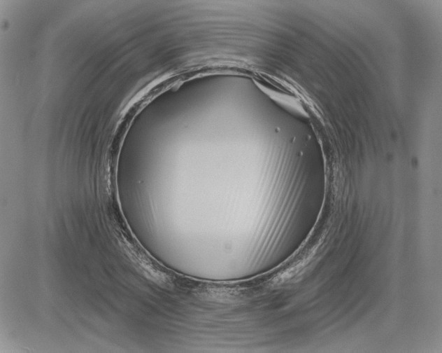 X0000081420782200701261553