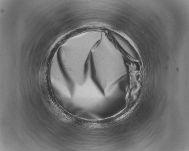 X0000081420783200701261553