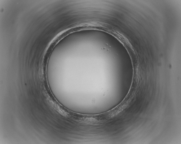 X0000081420784200701261553