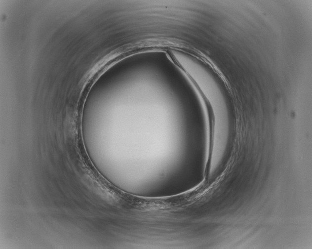 X0000081420786200701261553