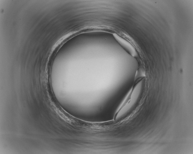 X0000081420787200701261552